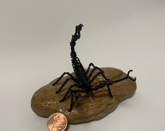 Scorpion