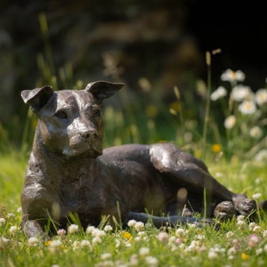 Lying American Staffordshire Bull Terrier Dog Statue | Bronze Resin Sculpture | Outdoor Garden Life-Size Animal Art, by Tanya Russell MRBS