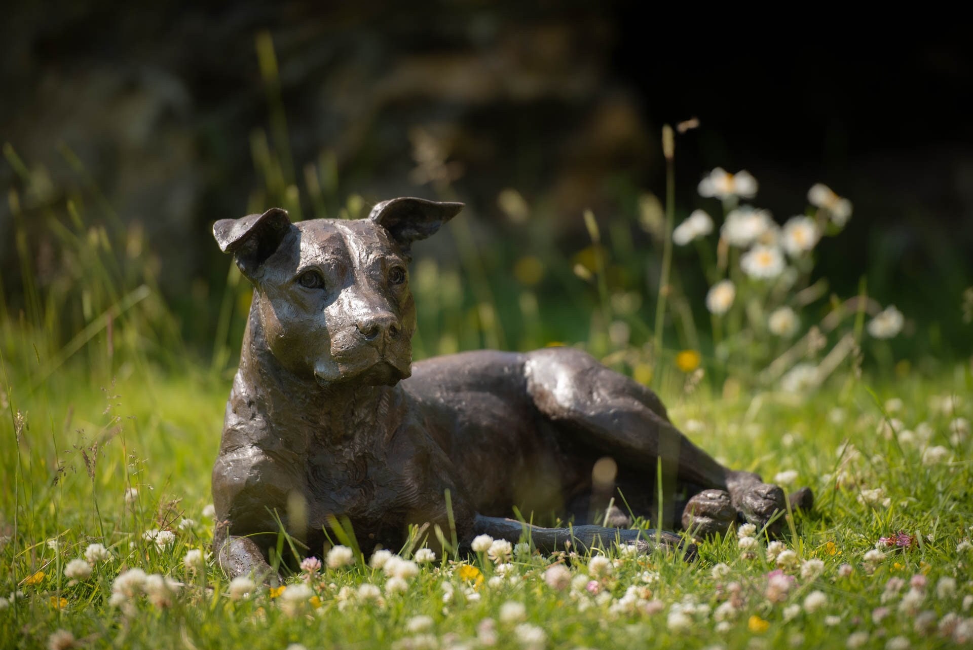 Pitbull Statue Lifesize - Etsy