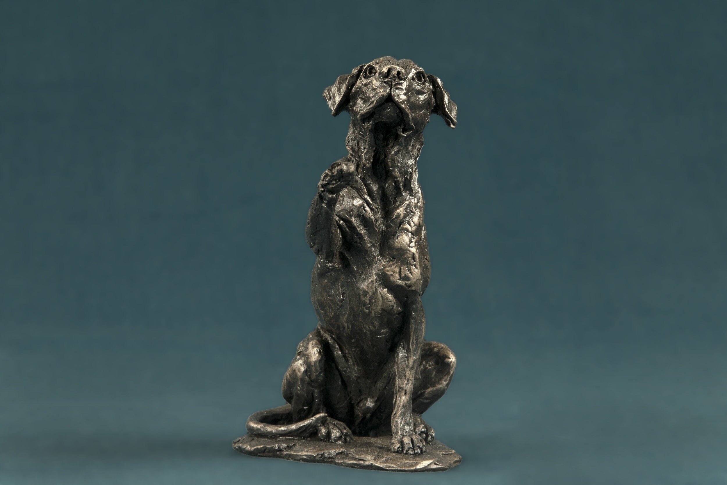 Hope Rescue Hund winken Pfote Tier Statue Kleine Bronze Etsy