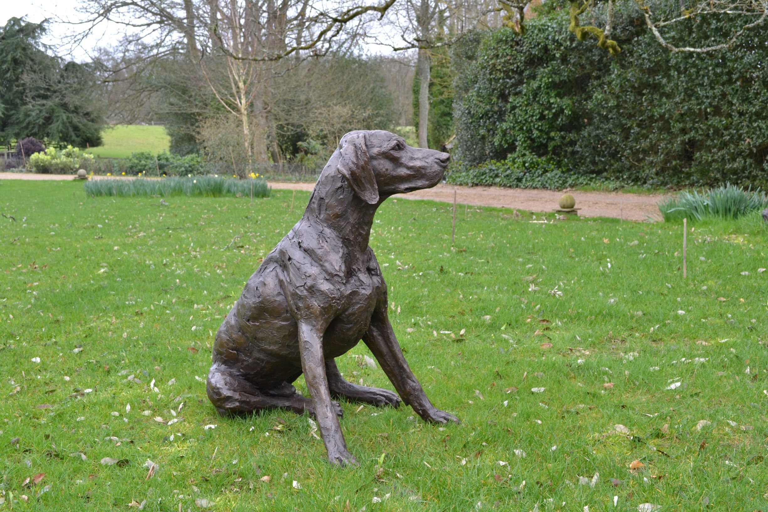 Sitting Pointer Dog Statue Large Bronze Ornament Bronze Etsy