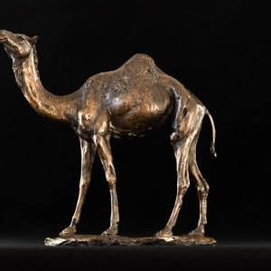 Foundry Bronze Camel Animal Statue | Medium Bronze Ornament | Bronze metal Sculpture | Dromedary Arabian Camel Gift, by Tanya Russell MRBS