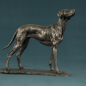 Op de afbeelding: Een bronzen beeld van een hond die op een voetstuk staat. De hond staat in een rennende houding met zijn kop omhoog. Het beeld is gedetailleerd en realistisch.