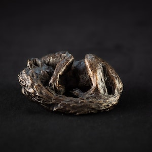 Foundry Bronze Baby Squirrel Animal Statue | Small Bronze Metal Squirrel Sculpture | Wildlife Gift Ornament by Tanya Russell MRBS