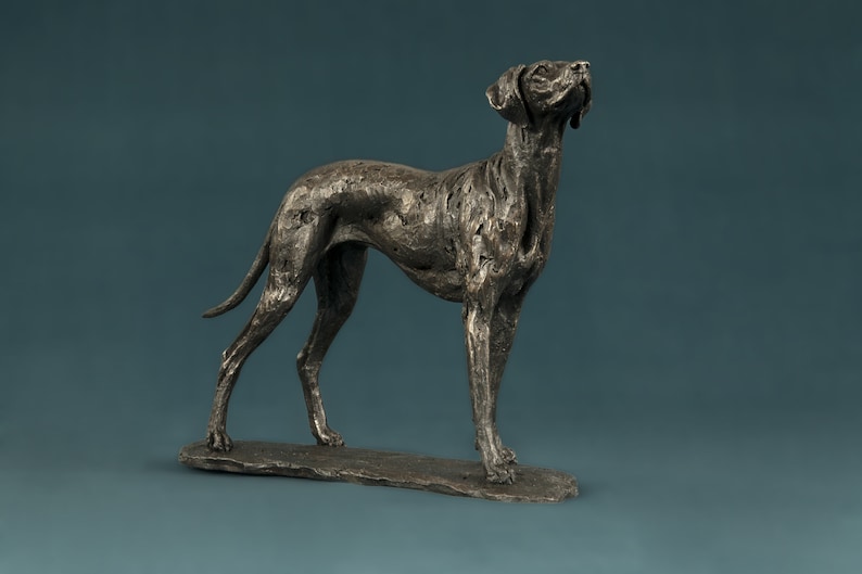 Op de afbeelding: Een bronzen beeld van een hond die op een getextureerde basis staat. De hond kijkt omhoog en heeft een lang, slank lichaam.