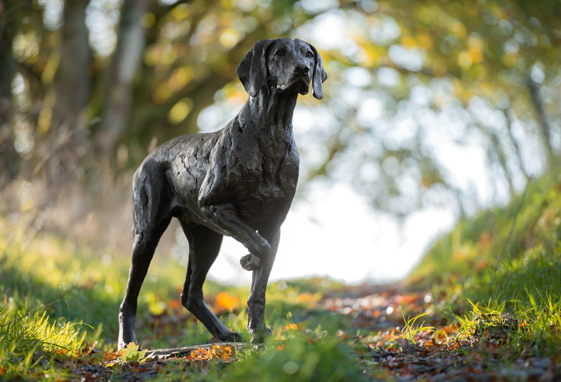 MADE WHEN ORDERED Pointing Weimaraner Dog Statue | Bronze Resin
