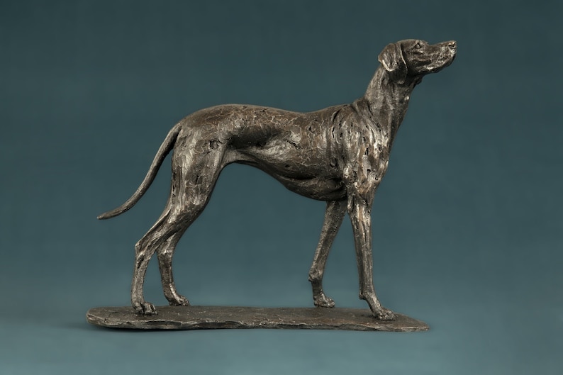 May include: A bronze sculpture of a dog standing on a rock base. The dog is a slender breed with long legs and a long, pointed snout. The sculpture is detailed and realistic, capturing the dog's muscular physique and alert expression.
