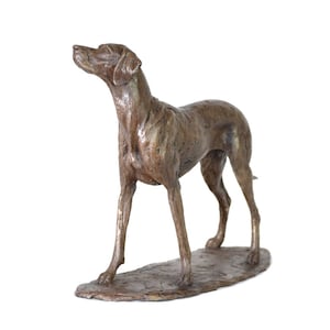 Op de afbeelding: Bronzen beeld van een hond die op een voetstuk staat. De hond is bruin en heeft zijn kop omhoog gekanteld. Het beeld is gedetailleerd en realistisch.