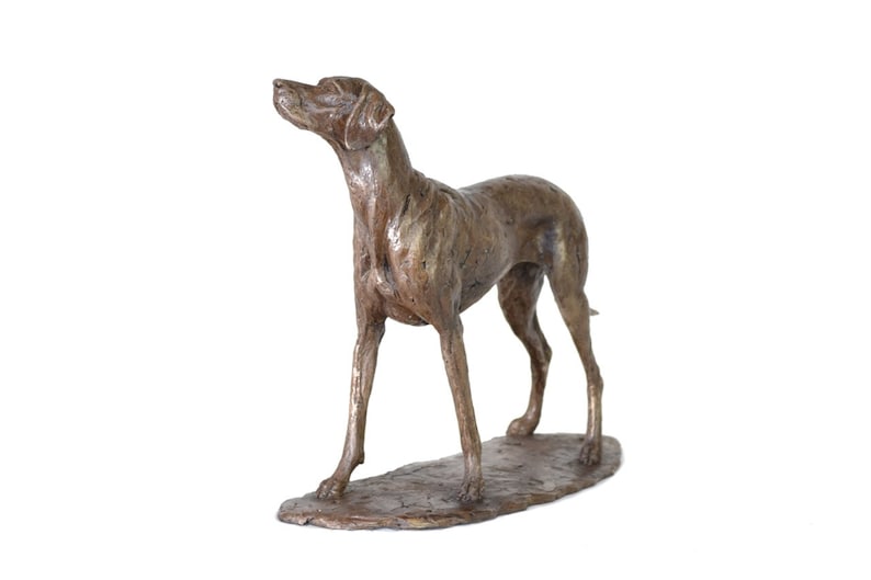 Op de afbeelding: Bronzen beeld van een hond die op een voetstuk staat. De hond is bruin en heeft zijn kop omhoog gekanteld. Het beeld is gedetailleerd en realistisch.