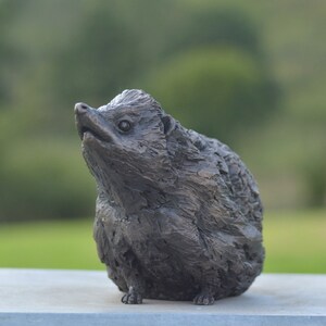 Estatua de erizo / Escultura mediana de resina de bronce / Regalo de erizo de vida silvestre, por Tanya Russell MRBS imagen 2