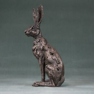 Zittend haas dierenbeeld Kleine bronzen harssculptuur Wildlife Haas Cadeau, door Tanya Russell MRBS afbeelding 6