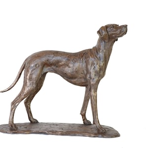 Op de afbeelding: Een bronzen beeld van een hond die op een voetstuk staat. De hond kijkt naar rechts en heeft zijn kop omhoog. Het beeld is gedetailleerd en realistisch.