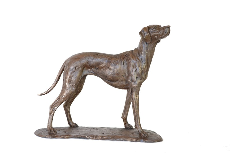 Op de afbeelding: Een bronzen beeld van een hond die op een voetstuk staat. De hond kijkt naar rechts en heeft zijn kop omhoog. Het beeld is gedetailleerd en realistisch.