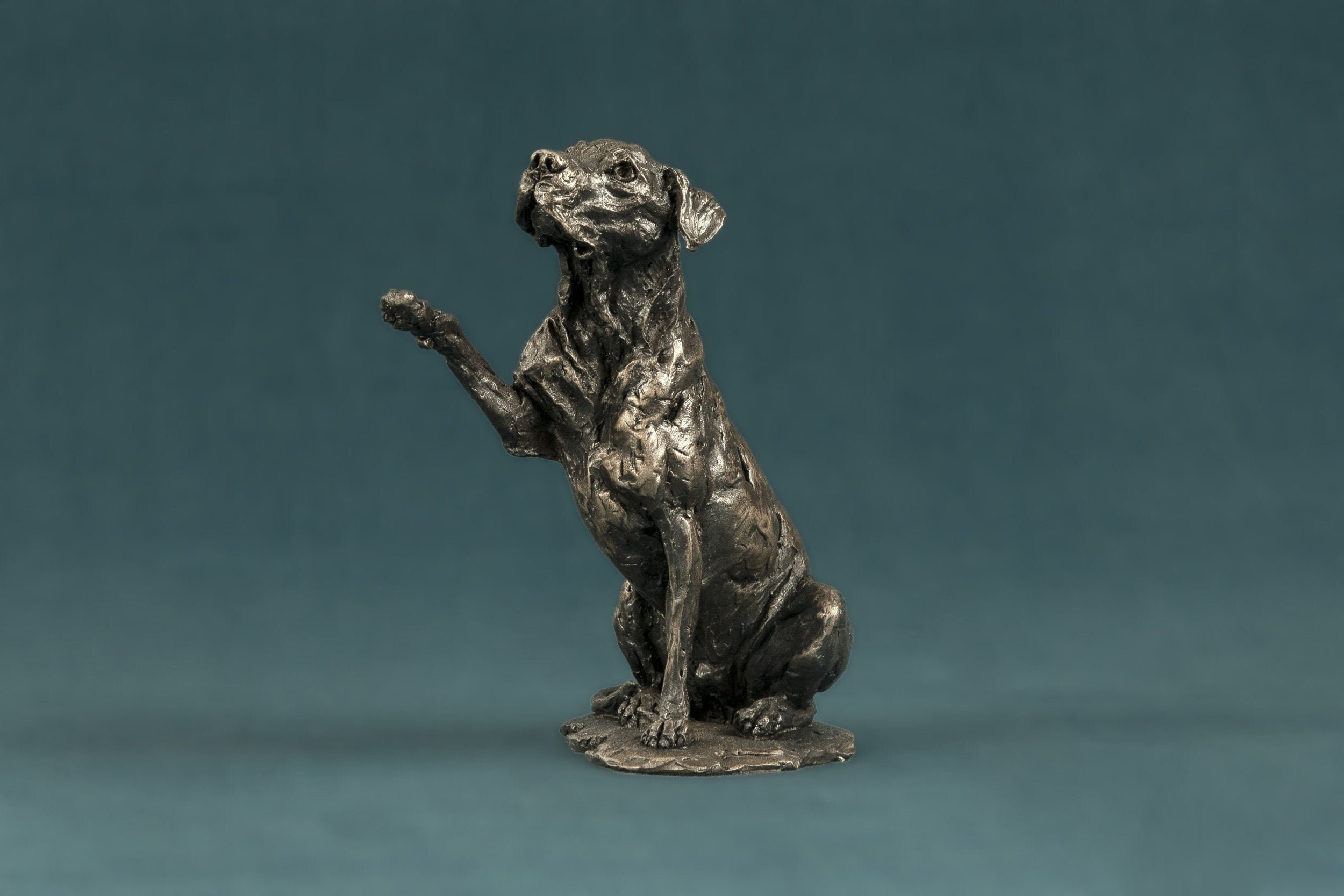 Hope Rescue Hund winken Pfote Tier Statue Kleine Bronze Etsy