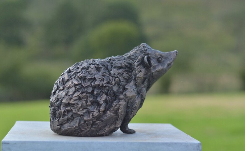 Estatua de erizo / Escultura mediana de resina de bronce / Regalo de erizo de vida silvestre, por Tanya Russell MRBS imagen 7