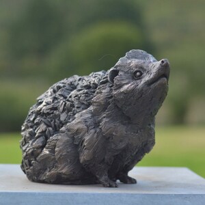 Estatua de erizo / Escultura mediana de resina de bronce / Regalo de erizo de vida silvestre, por Tanya Russell MRBS imagen 6