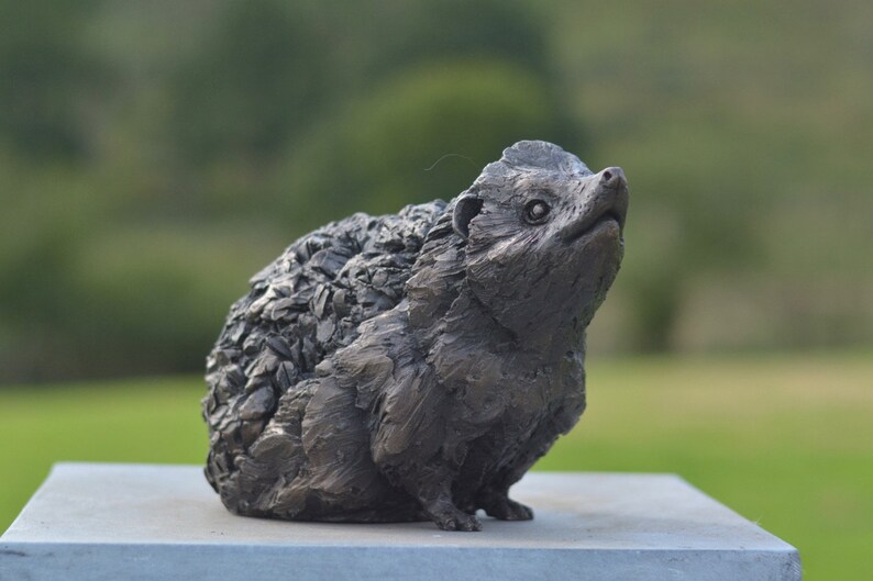 Estatua de erizo / Escultura mediana de resina de bronce / Regalo de erizo de vida silvestre, por Tanya Russell MRBS imagen 6