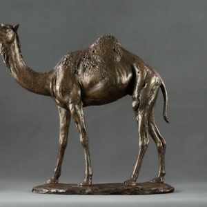 Camel Animal Statue | Medium Bronze Resin Sculpture | Dromedary Arabian Camel Gift, by Tanya Russell MRBS