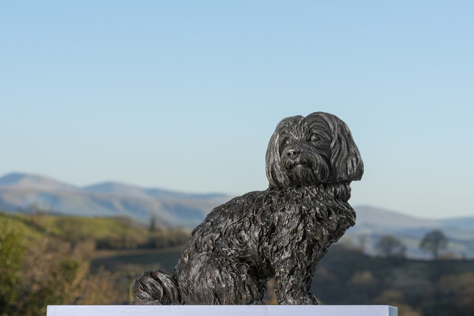 Sitting Maltese Terrier Dog Statue Large Bronze Ornament | Etsy
