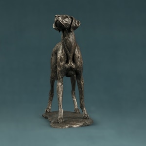 Op de afbeelding: Een bronzen beeld van een hond die op een stenen basis staat. De hond kijkt omhoog en heeft een lange snuit en slappe oren.