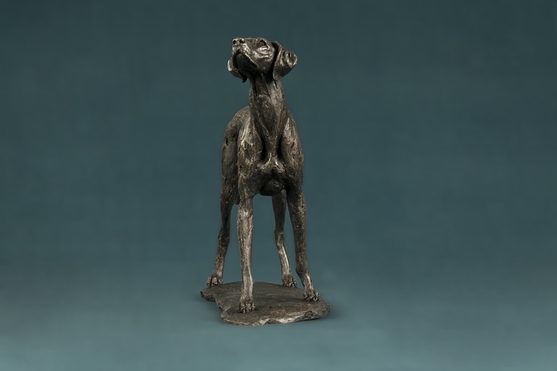 Op de afbeelding: Een bronzen beeld van een hond die op een stenen basis staat. De hond kijkt omhoog en heeft een lange snuit en slappe oren.