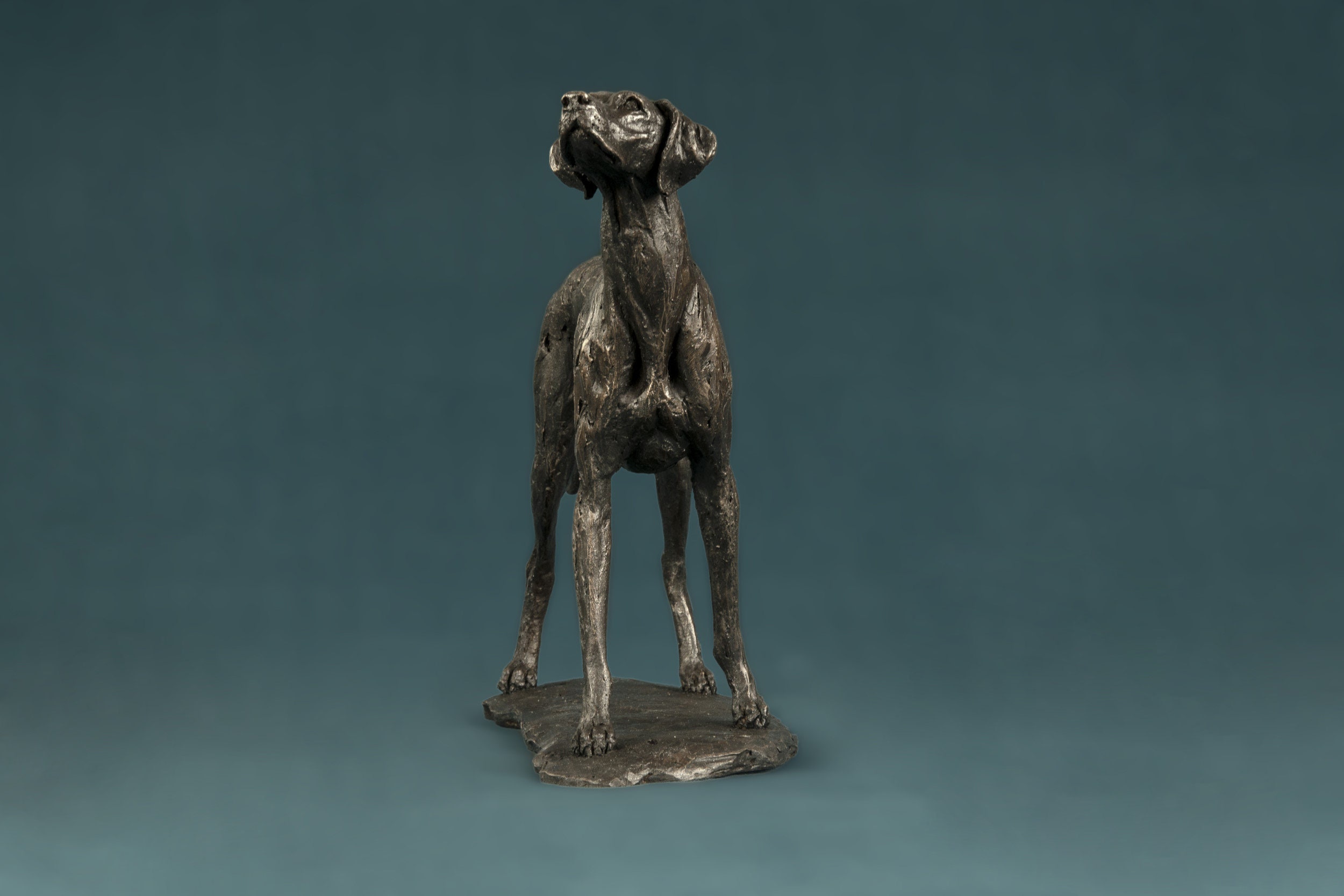 Standing Vizsla Dog Statue Small Bronze Ornament Bronze Etsy UK