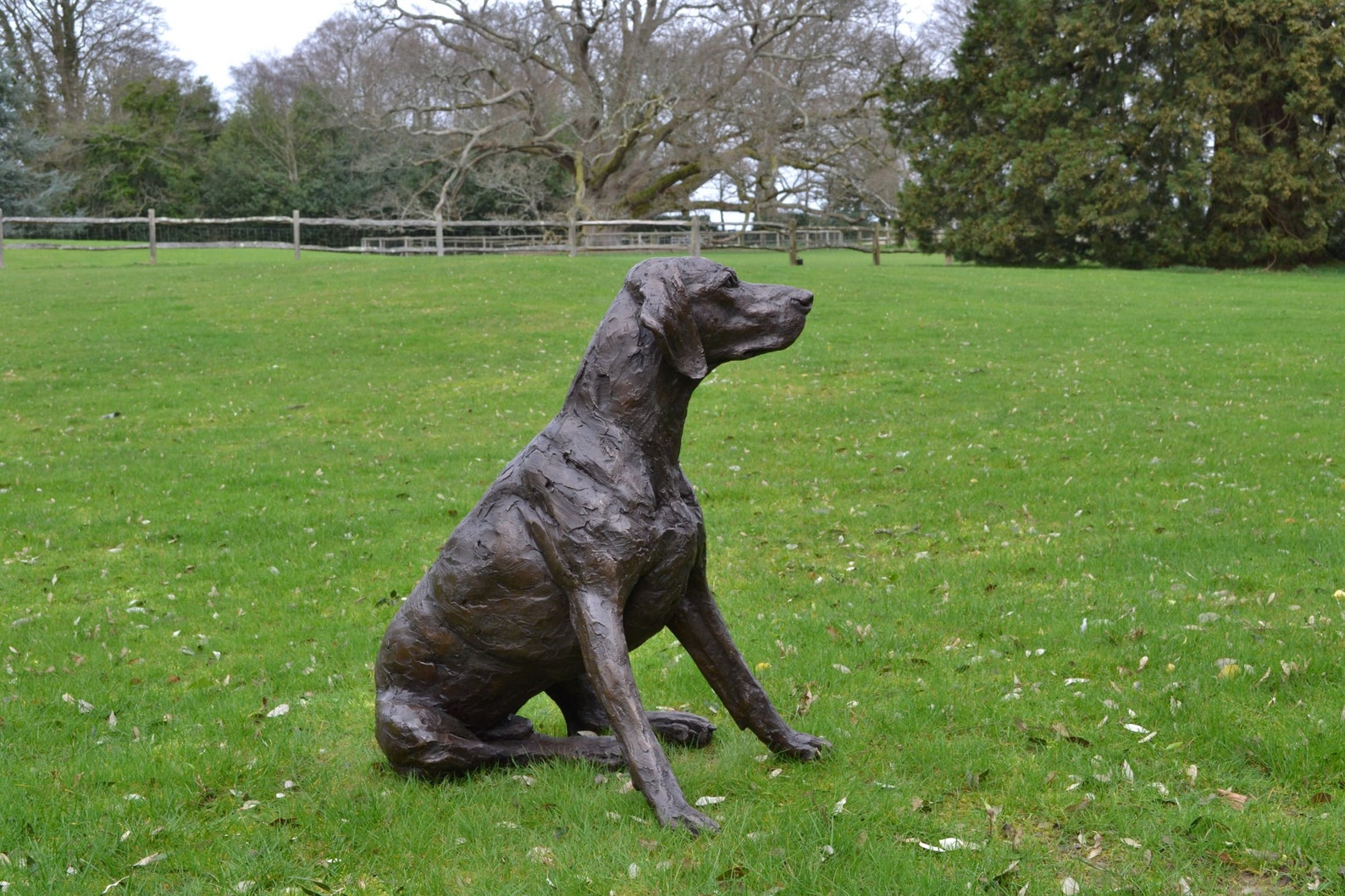 Sitting Pointer Dog Statue Large Bronze Ornament Bronze Etsy