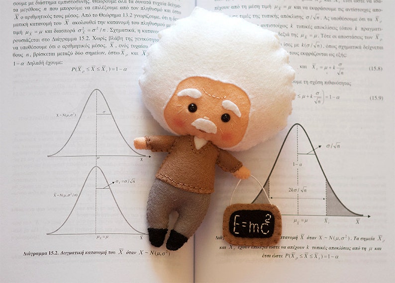 Albert Einstein doll, Science teacher gift, Physics toy, Math gift, College student gift, Physics teacher, Graduation gift, phd student gift image 1
