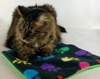 crinkle sound catnip play mat