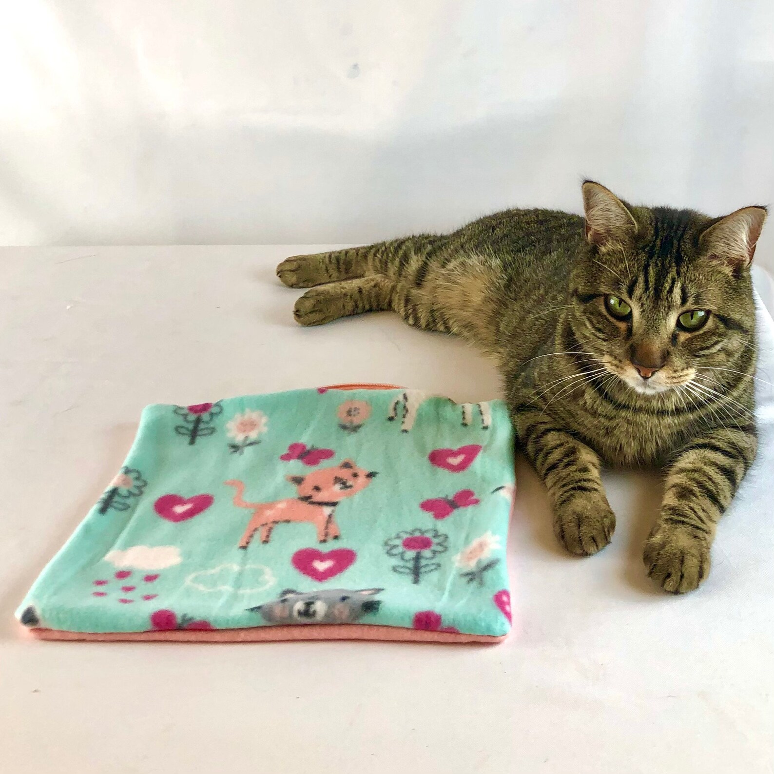 Crinkle sound catnip play mat Etsy