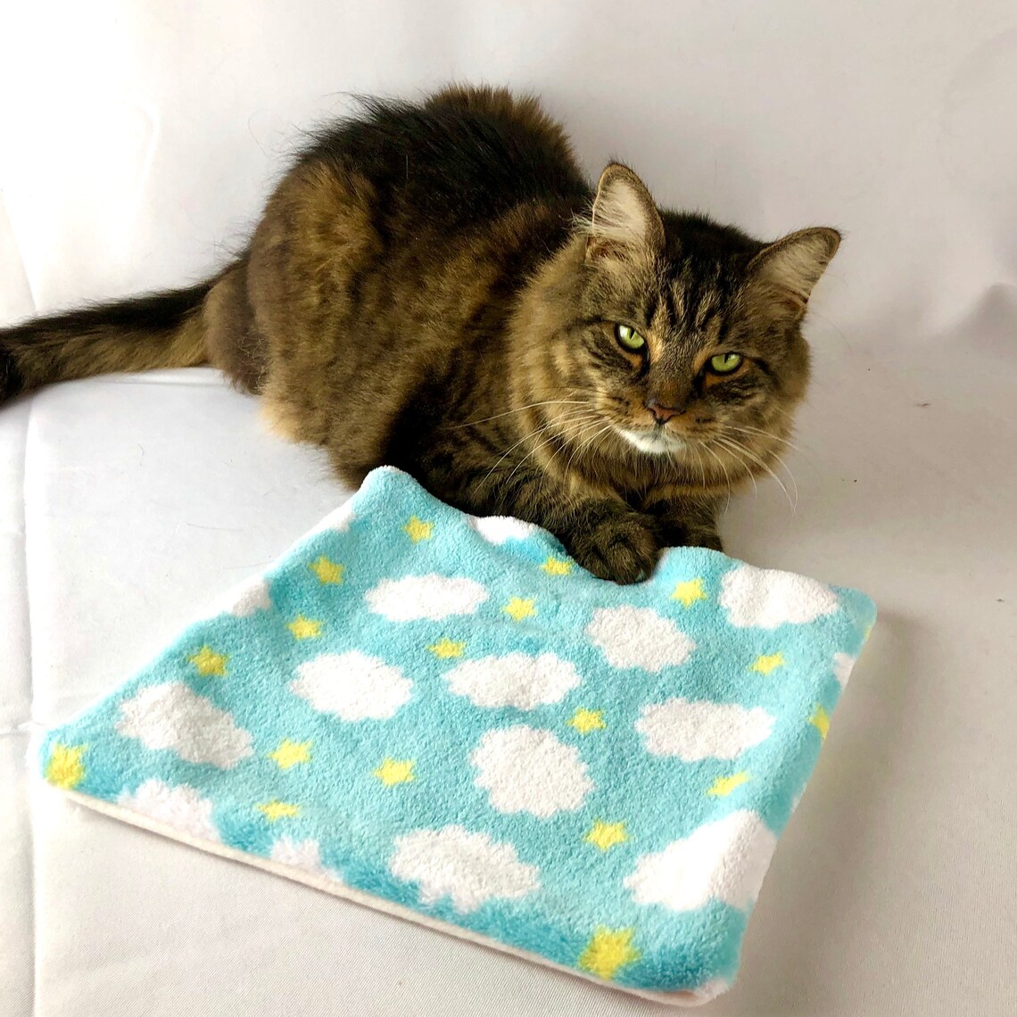 Crinkle sound catnip play mat Etsy