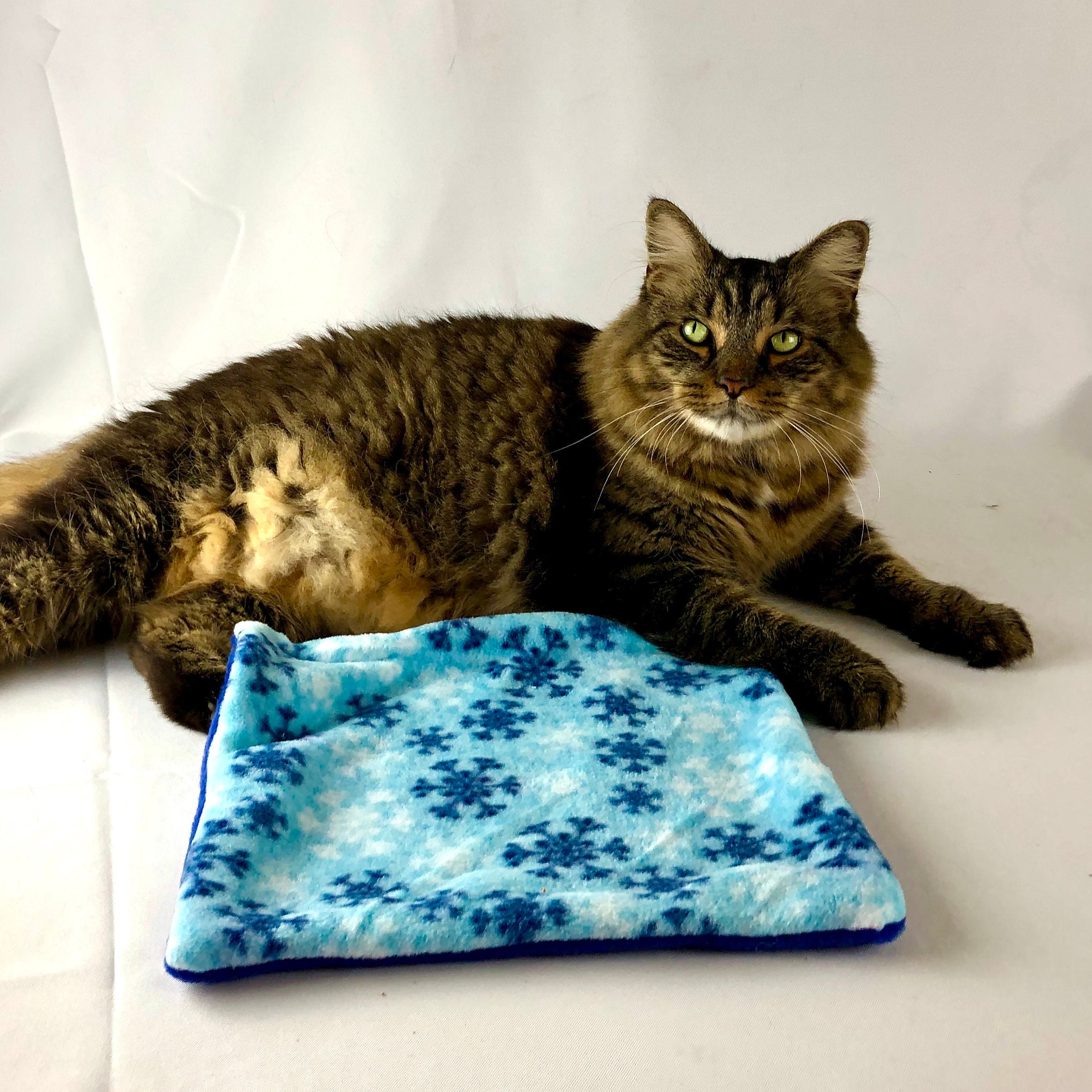 Crinkle Sound Catnip Play Mat Etsy UK