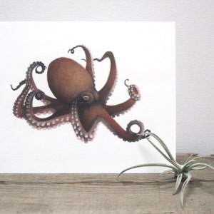 Octopus Watercolor Giclée Print