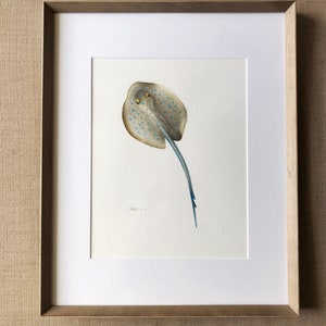 Stevie der Stingray - Original Aquarell