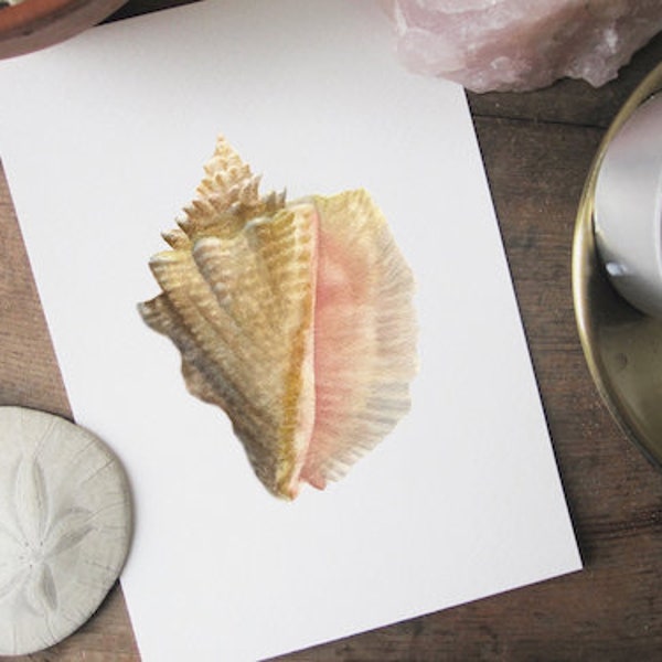 Conch Shell Watercolor Giclée Print