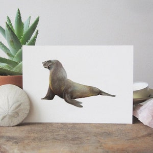 Sea Lion Watercolor Giclée Print