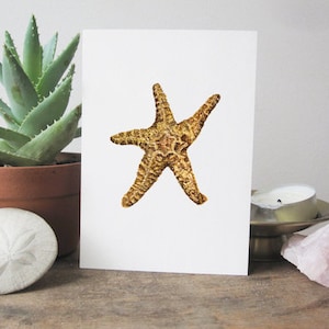 Starfish Watercolor Giclée Print