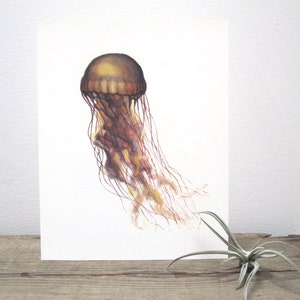 Jellyfish Watercolor Giclée Print