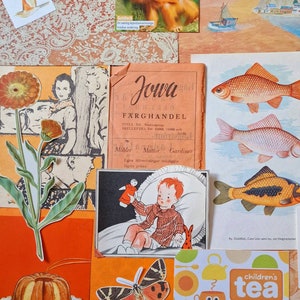 Ephemera Paper Pack - oranje kleurenthema - voor papierbewerking, junkjournaling, collage, scrapbooking, kaarten maken, gemengde kunst, enz