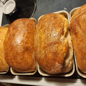 May include: Four loaves of freshly baked bread in white loaf pans. The bread is golden brown and has a slightly crusty exterior.