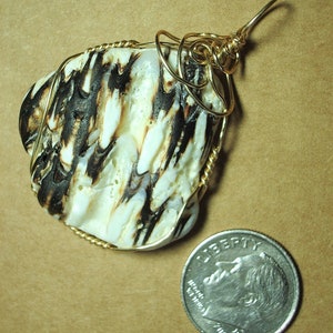 May include: A pendant made from a white and black shell with gold wire wrapping. The shell has a natural, organic pattern. The pendant is about the size of a US dime.