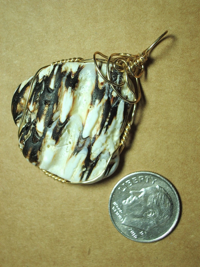 May include: A pendant made from a white and black shell with gold wire wrapping. The shell has a natural, organic pattern. The pendant is about the size of a US dime.