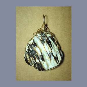 May include: A white and black seashell pendant with gold wire wrapping. The shell has a natural, organic texture.