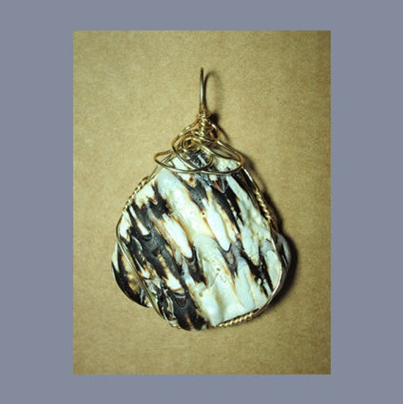 Weathered Murex Shell Pendant: Gold Filled Wire Wrapped Large Shell Jewelry
