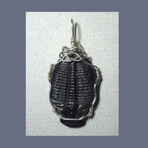 Trilobite Pendant, Sterling Silver Wire Wrapped Stone Fossil Jewelry, Unusual Black Charcoal Gray Fossil Pendant, Large Fossil Pendant