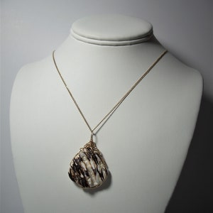 May include: A gold chain necklace with a pendant made from a white and brown shell wrapped in gold wire.