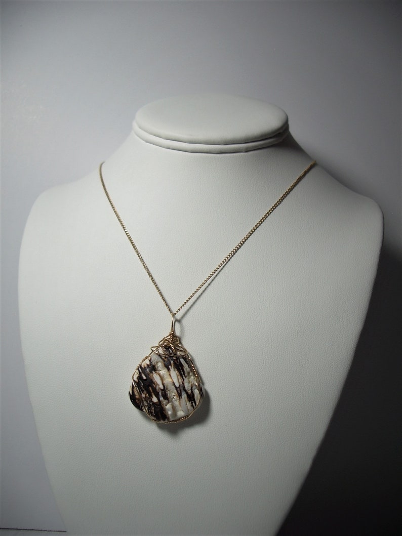 May include: A gold chain necklace with a pendant made from a white and brown shell wrapped in gold wire.