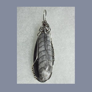 Orthoceras Fossil Pendant, .925 Sterling Silver Wire Wrapped Stone Jewelry, Artisan Handmade Fossil Necklace, Gray Black Stone Pendant