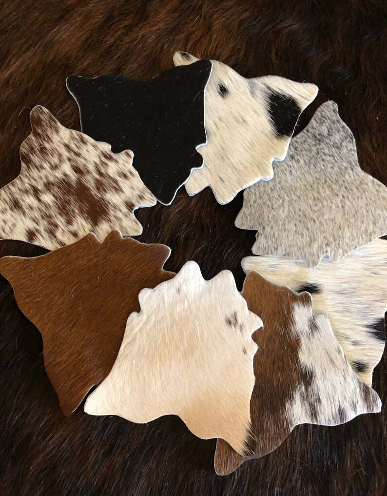 Cowhide Coasters 4/set Etsy