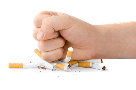 does cigarette smoke attract flies What Attracts Flies Into Homes?